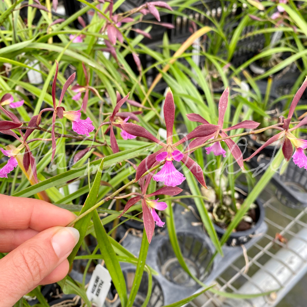 89C6FA3F-9FA6-4D03-86D2-CB38DE1D5B5D