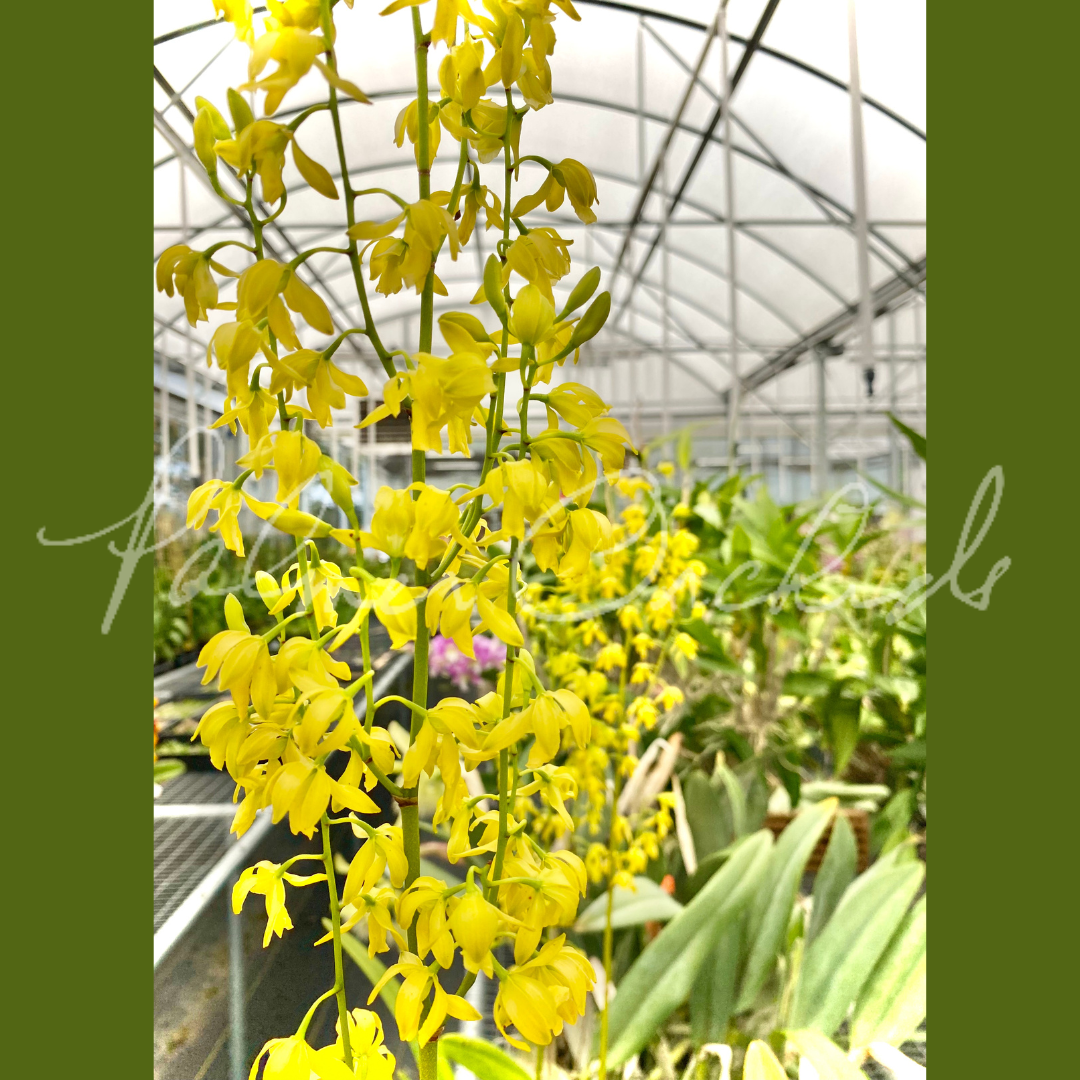 E3886C1B-6E6F-4A11-AAB9-4222BD260D30