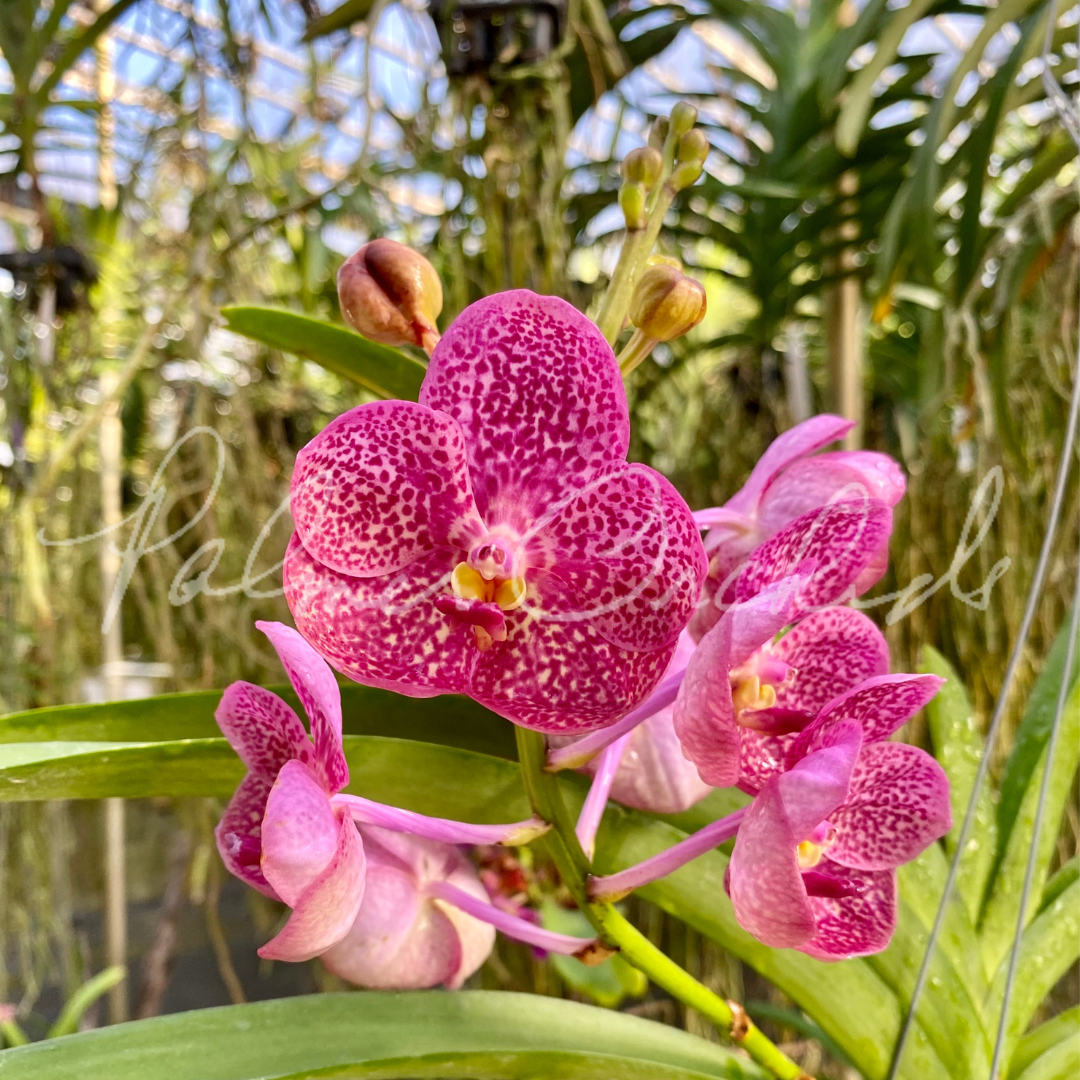 F03E091B-2FA4-4661-A9DA-0D0E2CCAC315