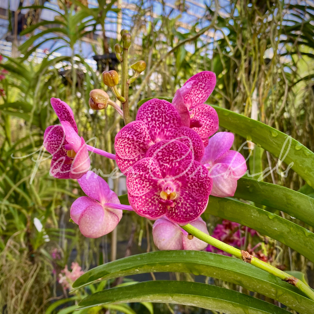 2CDCEBA8-DF77-4FF1-9575-0AC28ABCDBD9