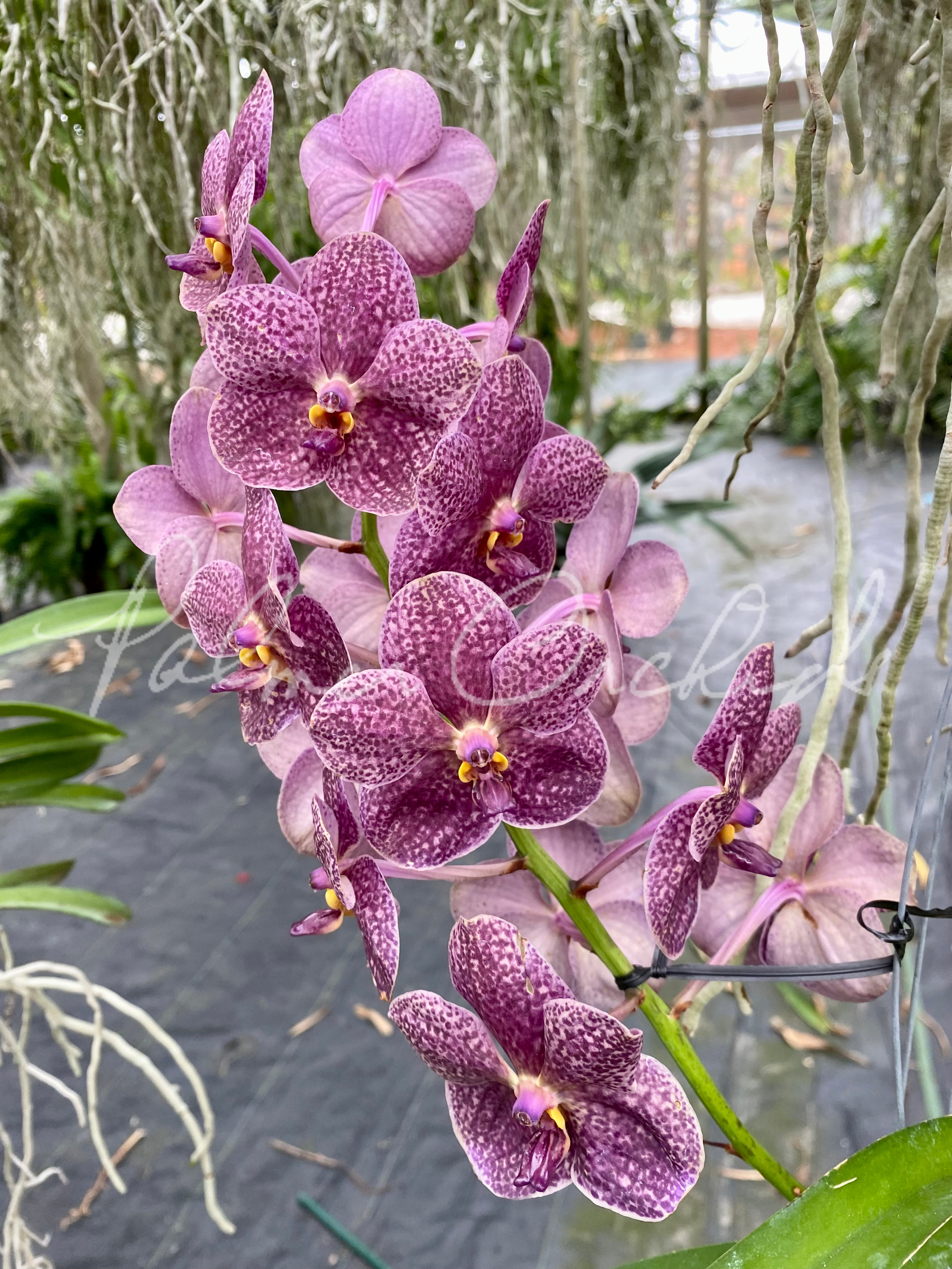 D795F6D4-68DE-4B7B-A513-836C4D7D6EEE