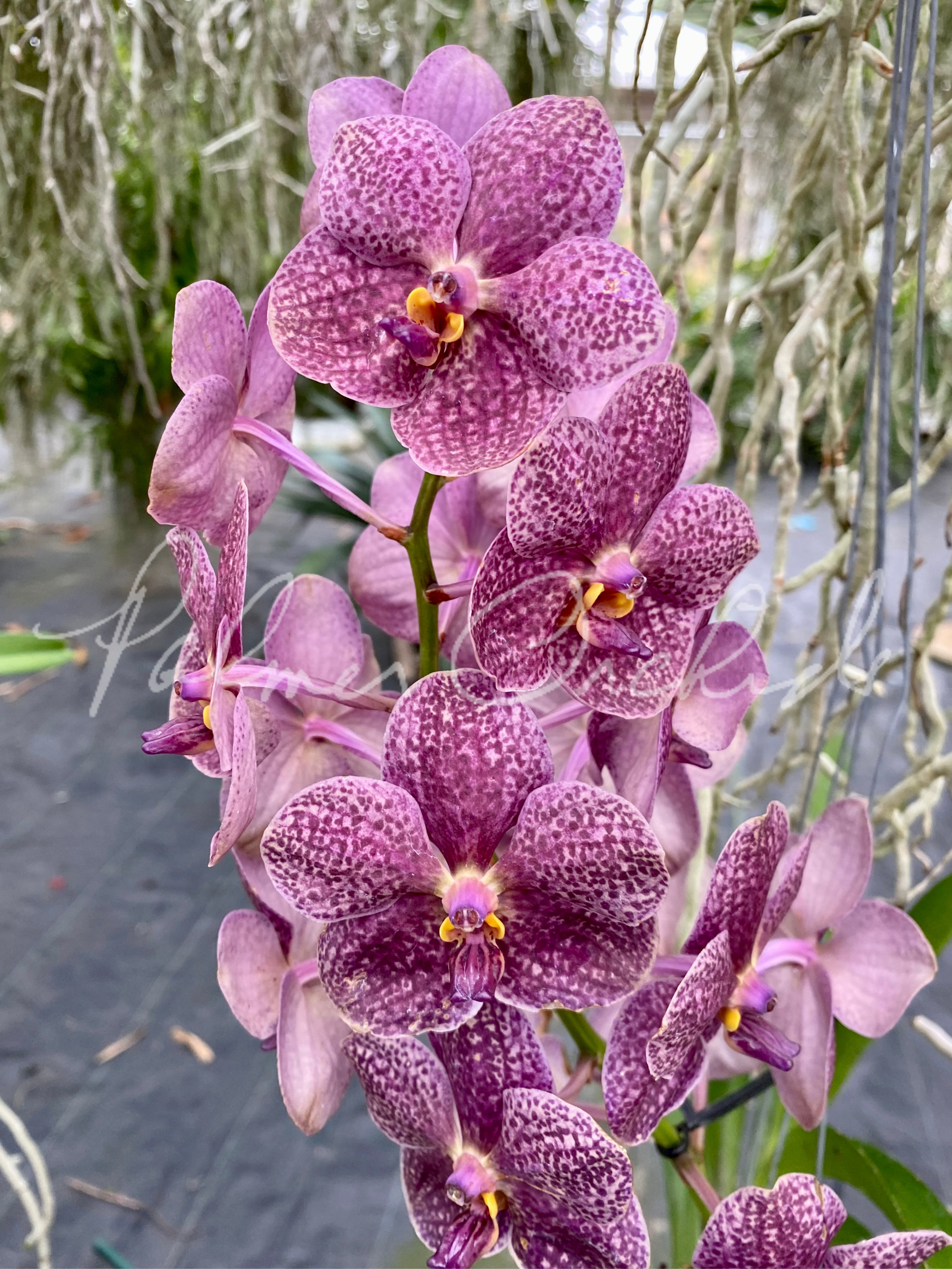 F6EDEAFC-7762-452A-8B0F-04BAAEB35604