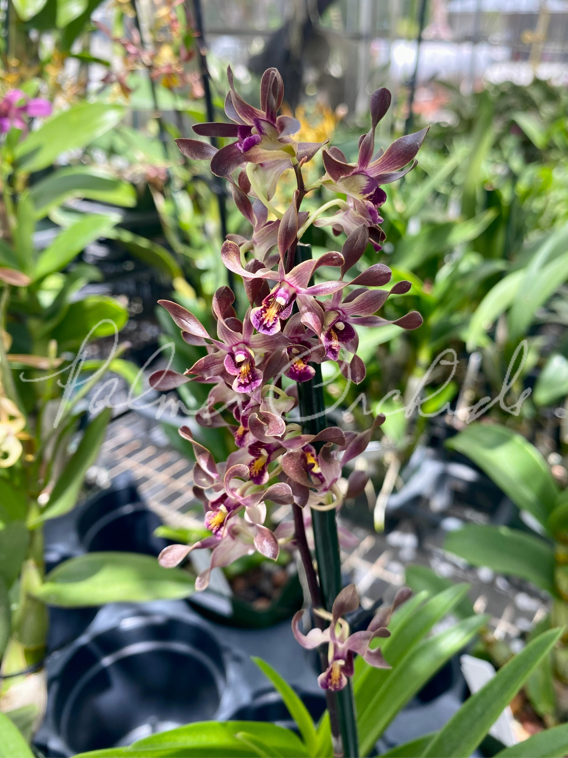 F0FA6002-2BF6-4185-9D45-66E4DC20C569