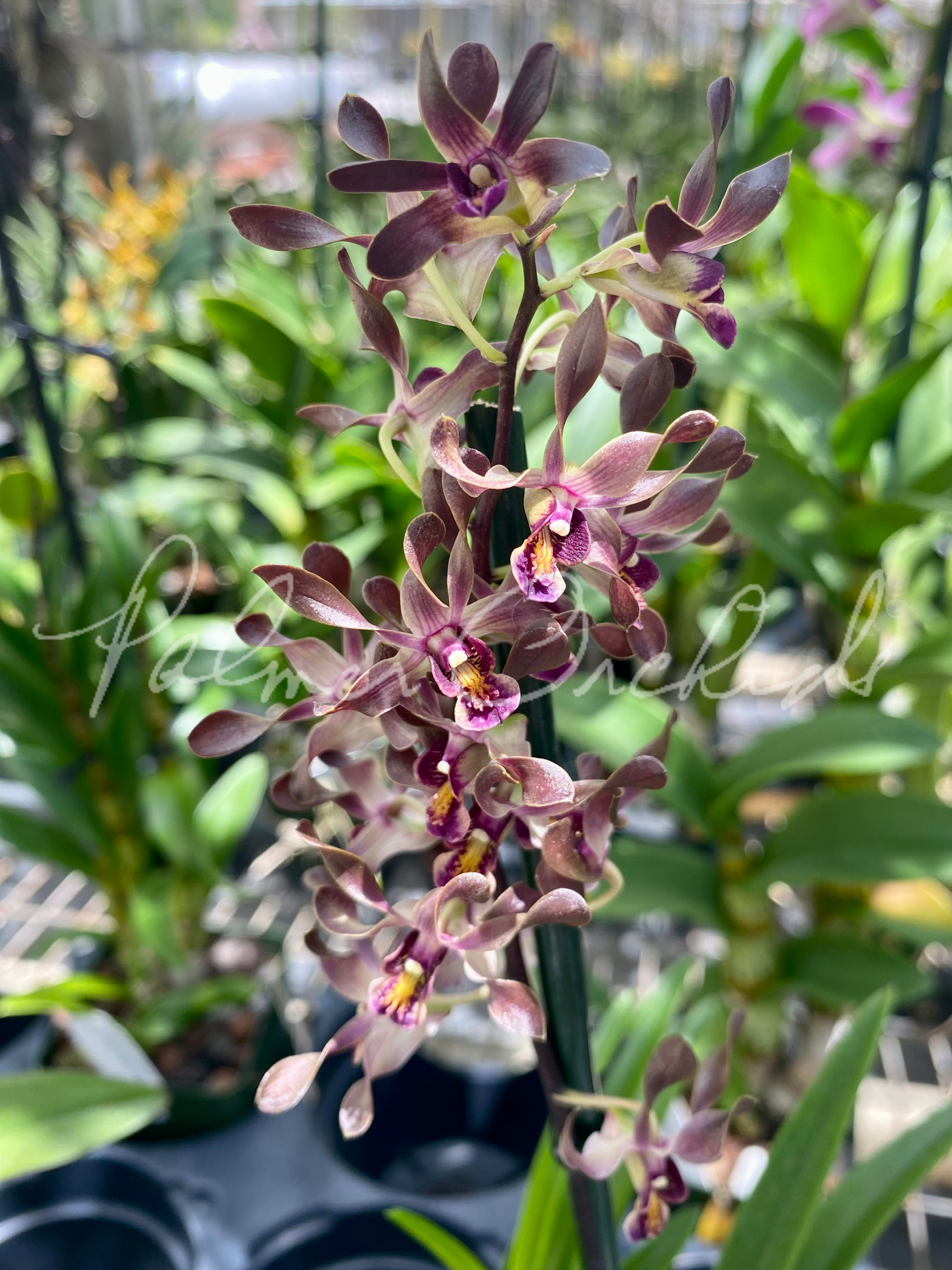 578F8646-D9EE-428B-9236-39DE8B5AA129