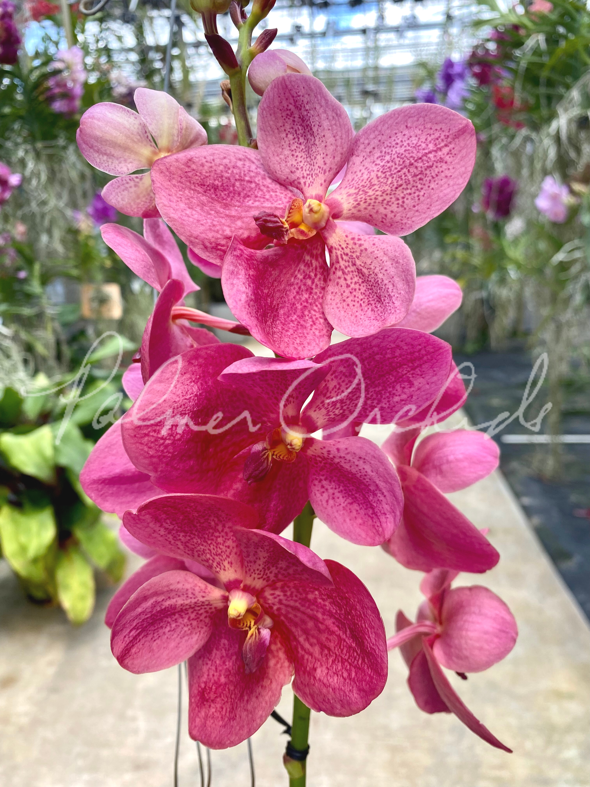 6307424C-0F11-4572-B1E8-9721FAAC2DC3