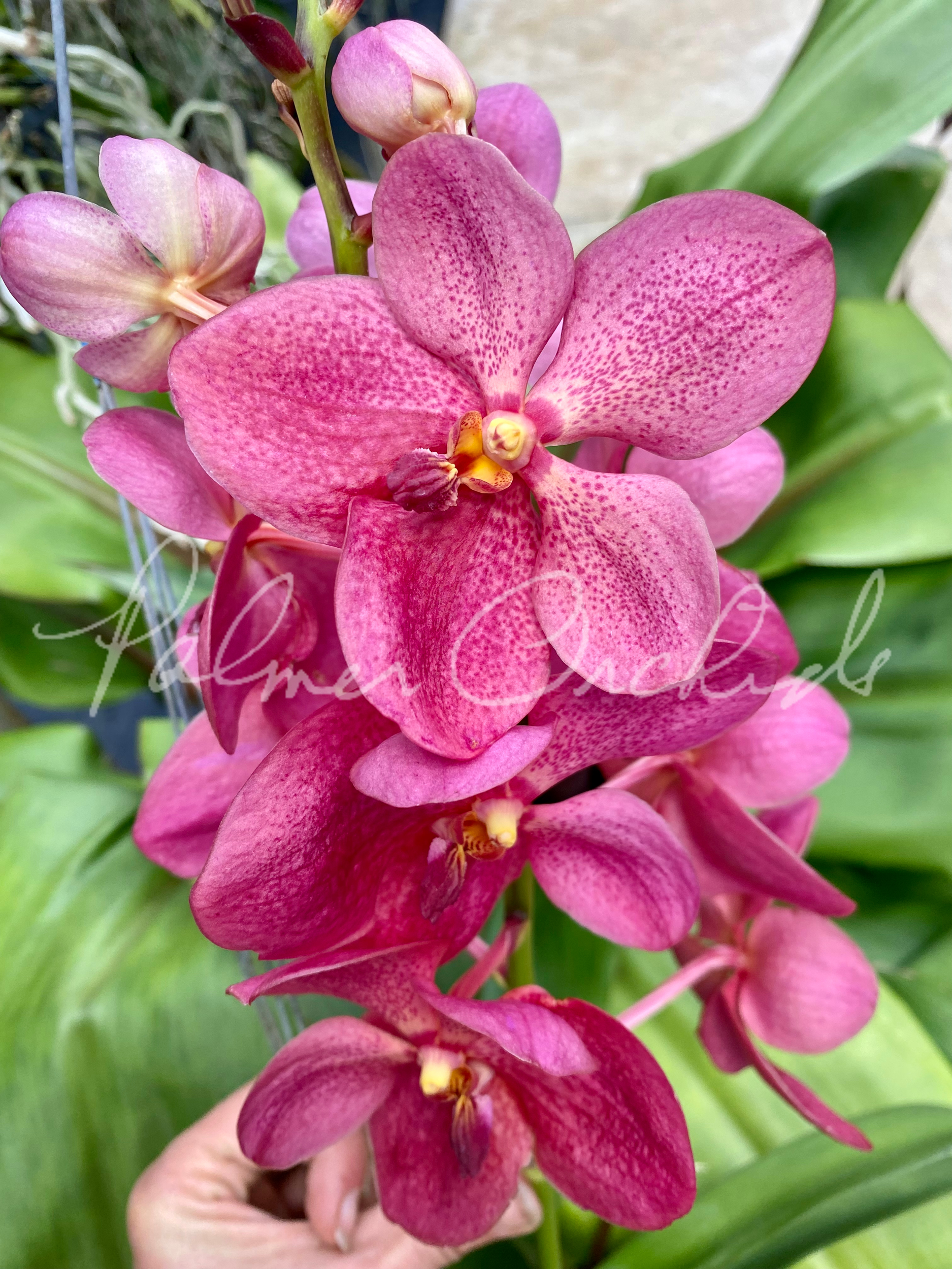 EAB4ABA1-7242-4618-BAB9-B72DB2789677