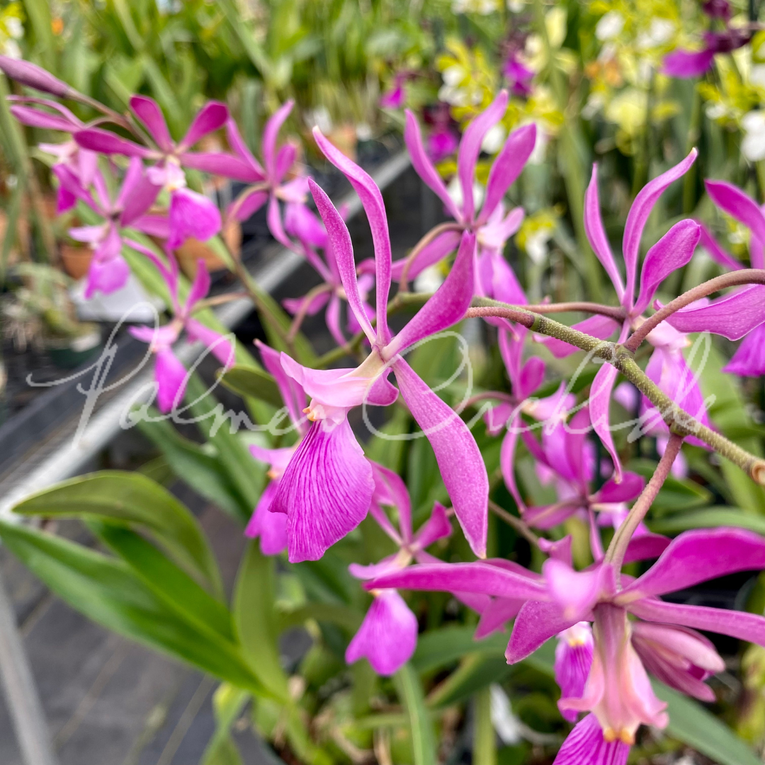 E054E0A3-624C-4C82-8153-068A62D64D7C