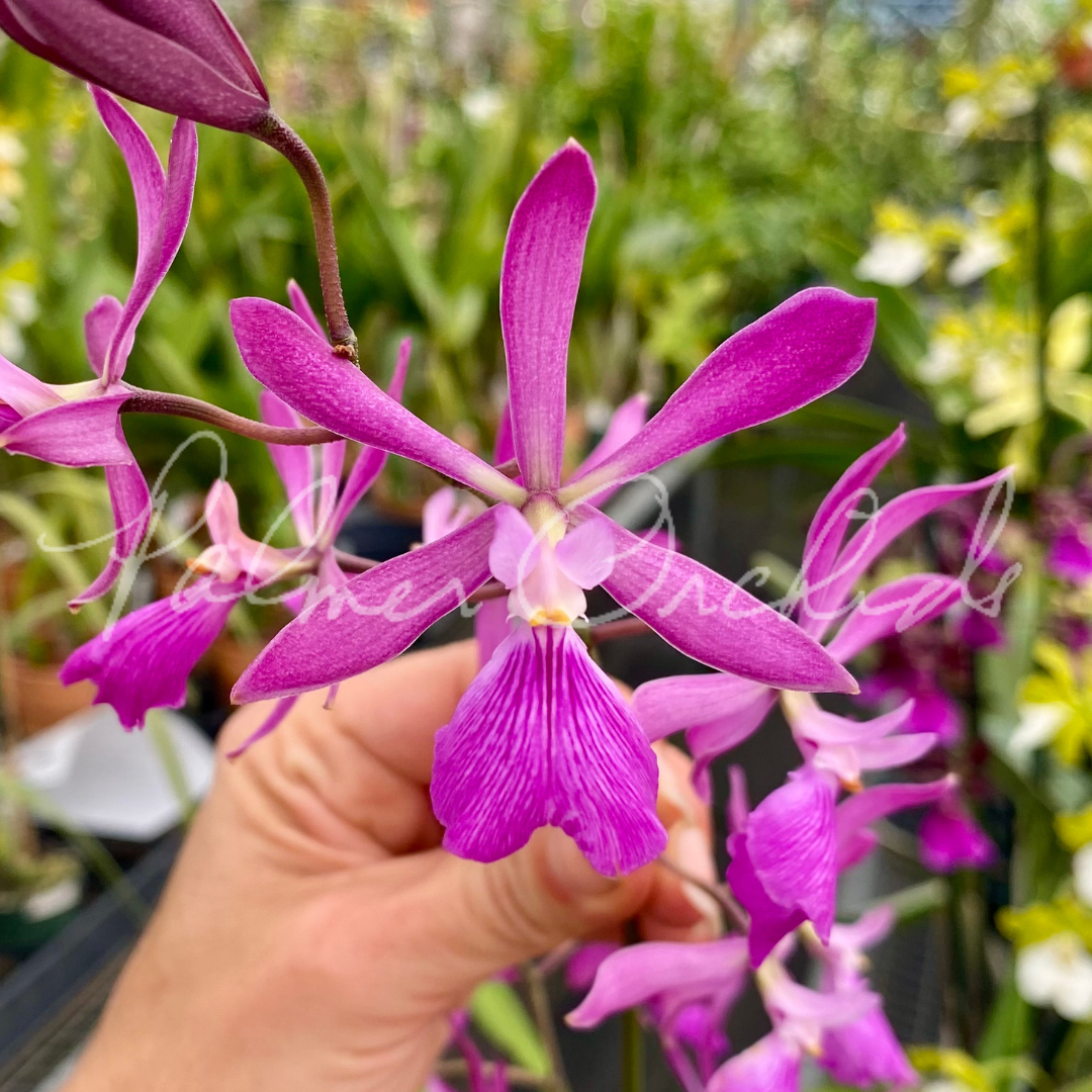 5ED0BEC2-1619-4897-8587-EE492772EA9A