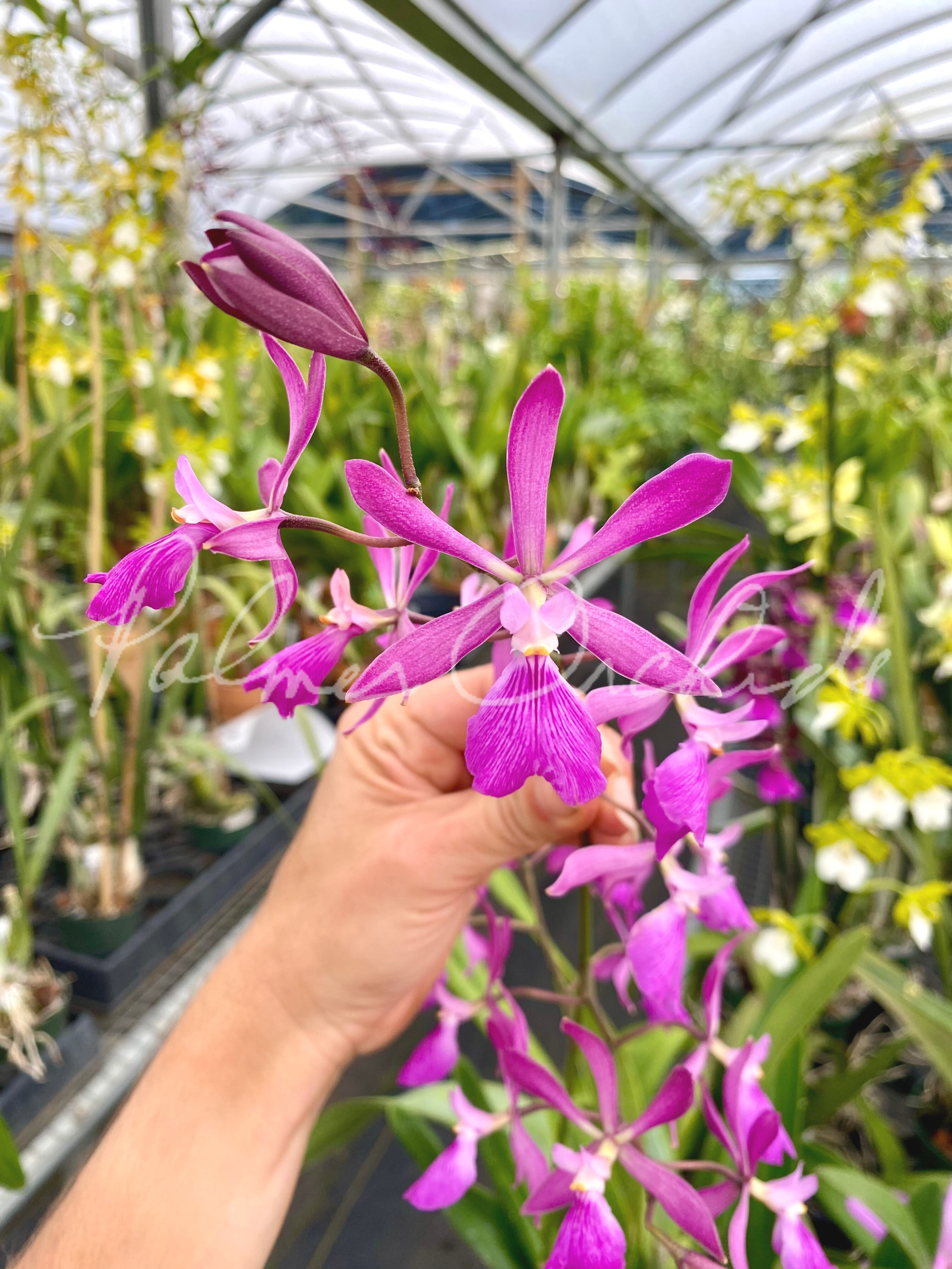 AB04B68A-7028-4D0C-83ED-D704E962463A