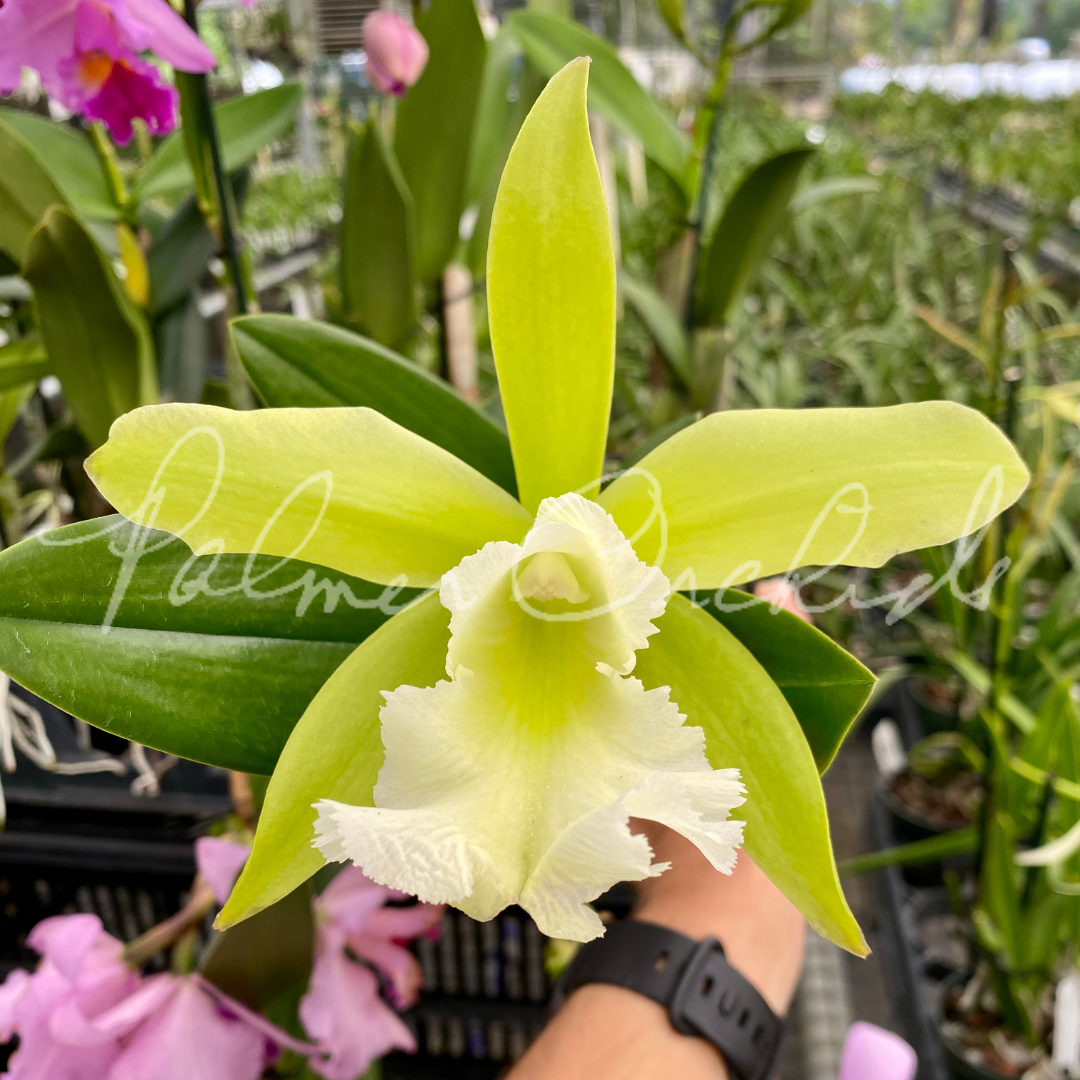 CFEC8562-DE63-4DD4-B0B2-E362E1EA2334