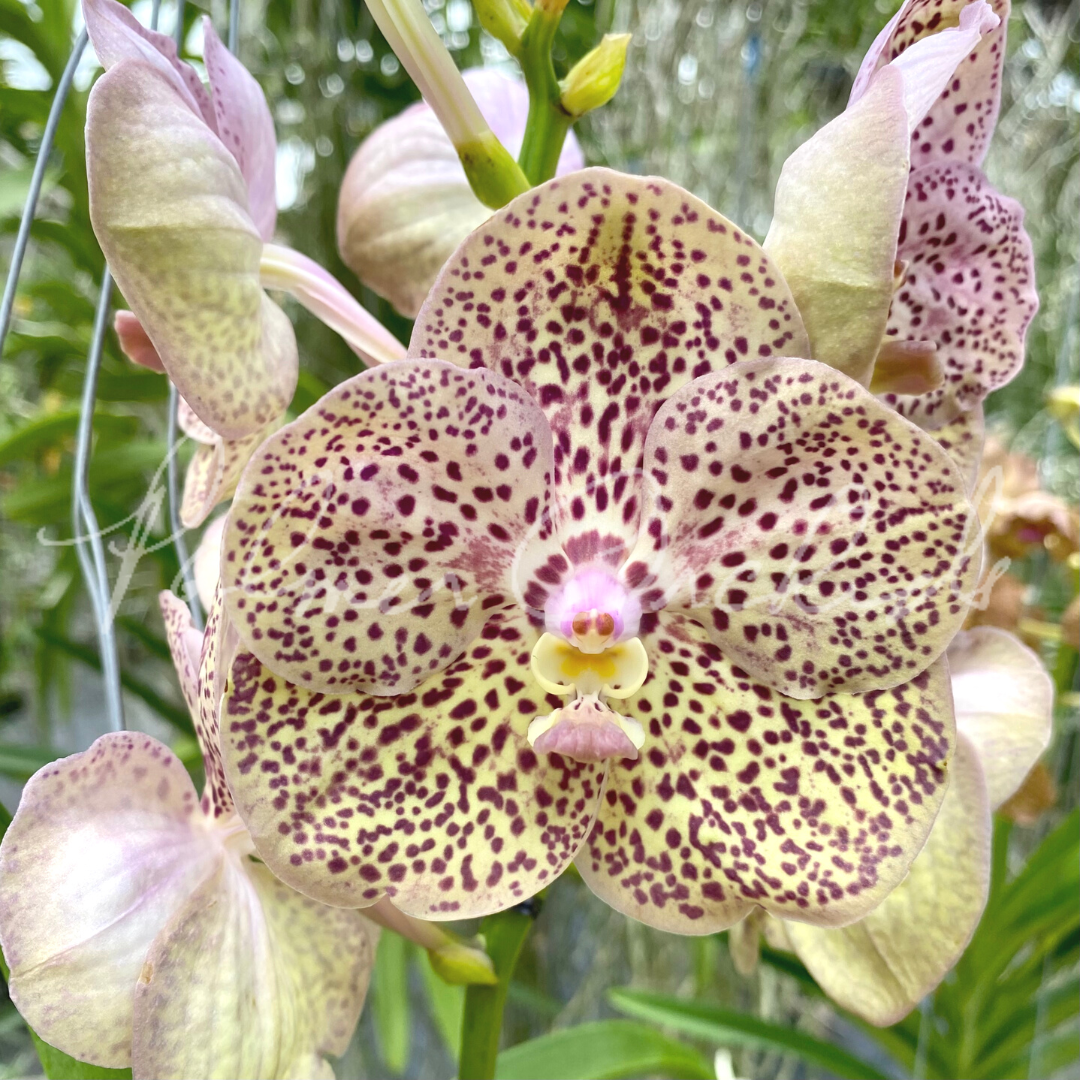 75D66A1D-A6F1-4AD9-9381-DDB438C1E14F