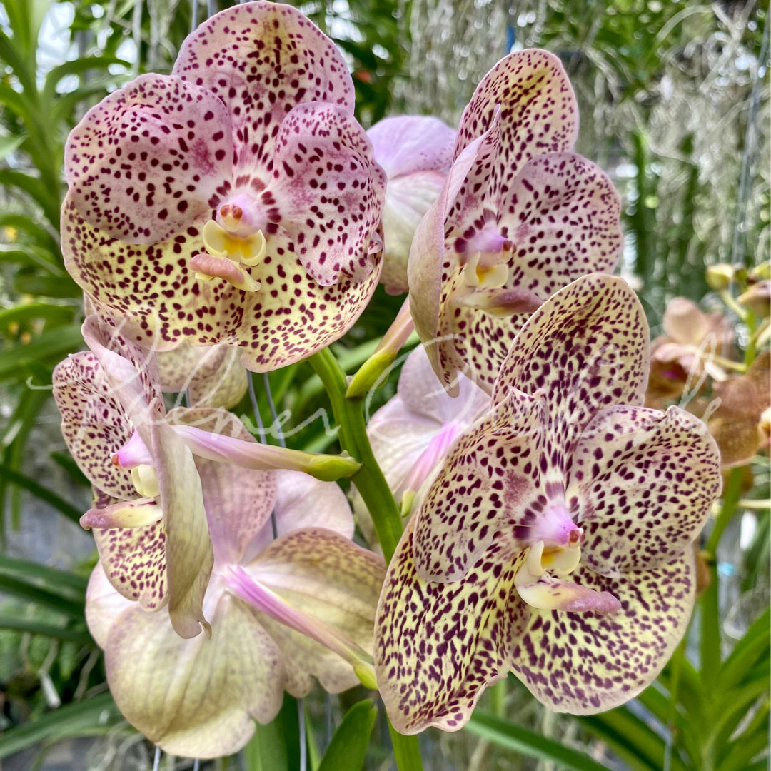 2FBF655F-2CC6-4CFC-8B98-09D165903EFD