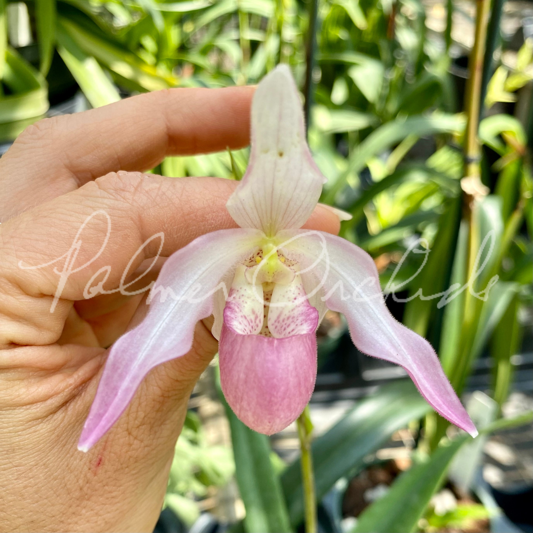 DDEF511D-BD7B-4F2D-81E4-E45FCBB1E6F6