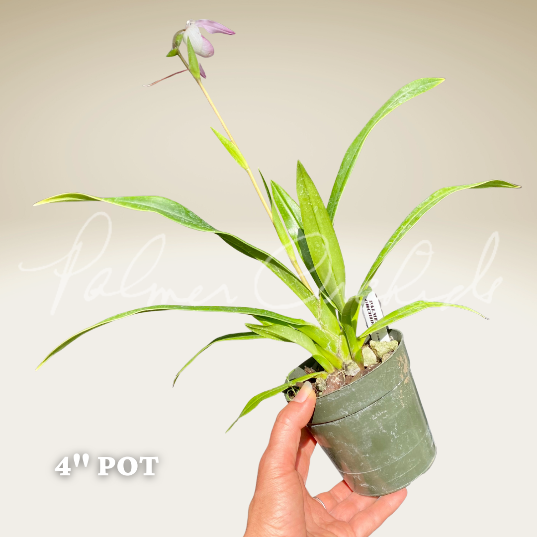 DC99881D-81D1-4200-B7E0-162D6349B157