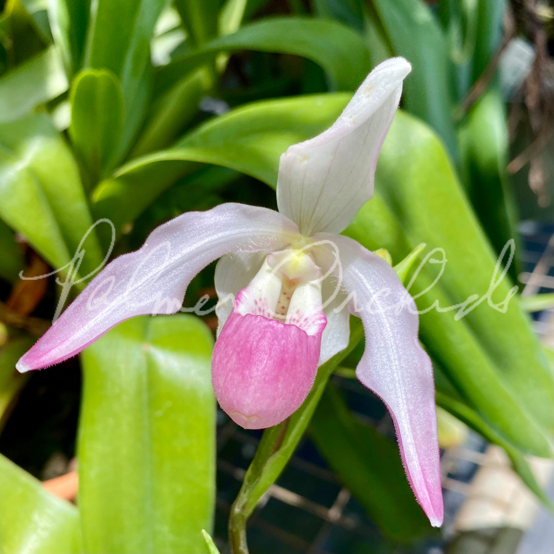 B03E07E4-ED24-446C-A98D-86F1FA427E58