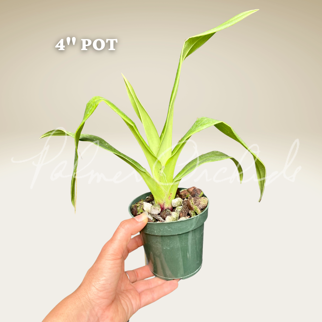 CF130B79-EAF2-45D2-BFB3-F47DB3D3DE61