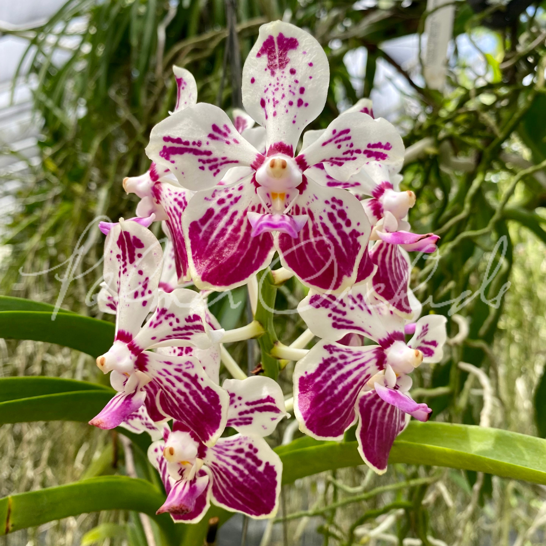 EFFA1C92-B8A5-45C4-BD74-8CB5191FF870