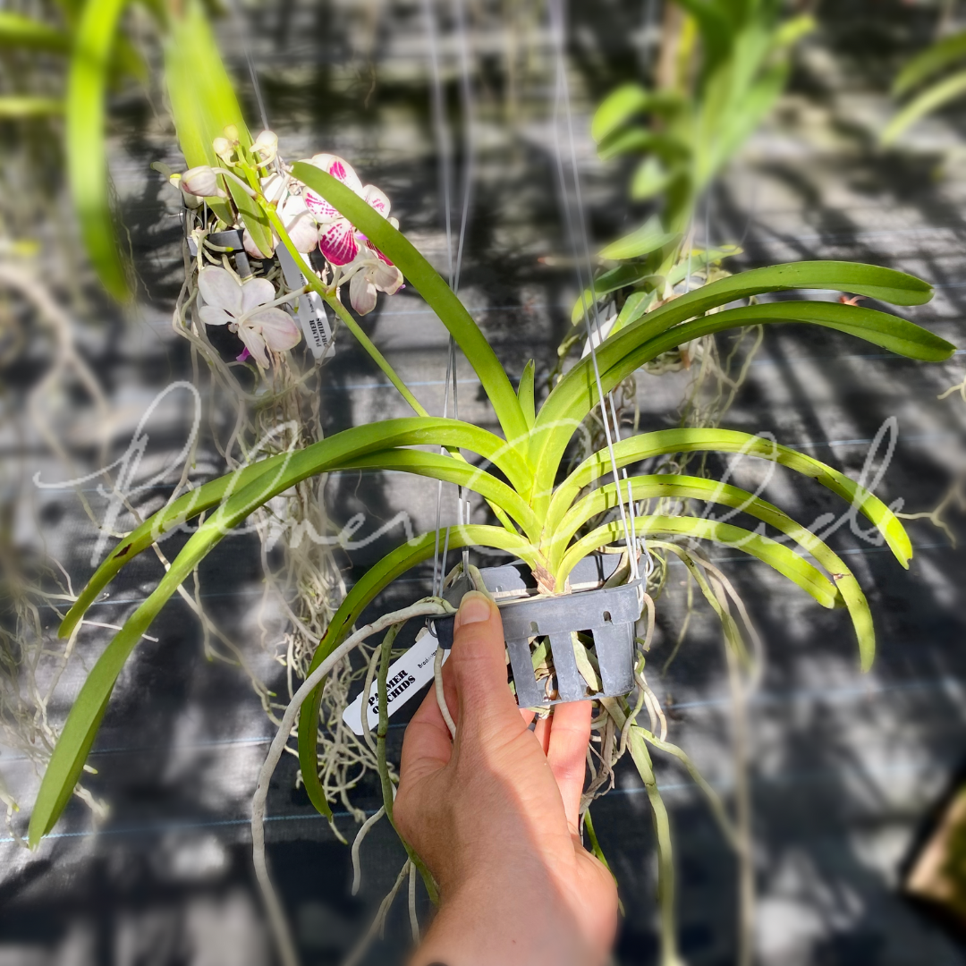 0A5F580F-F729-46EE-A1EC-397346C51B17