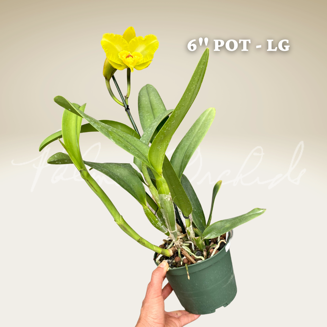 EE954942-CD35-40D9-955E-53A2DE124CEF