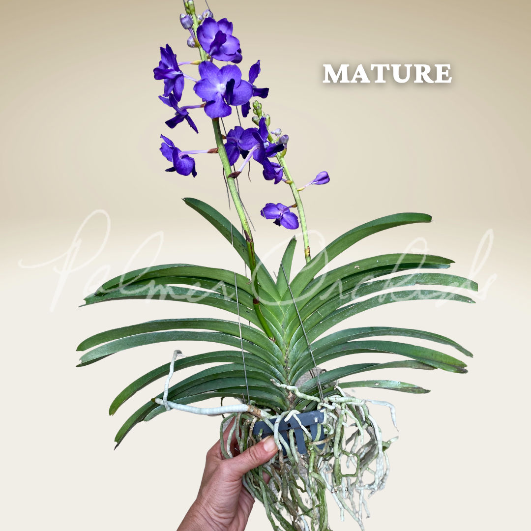 59234384-7790-4AE9-BC87-3122ECC2F3E3