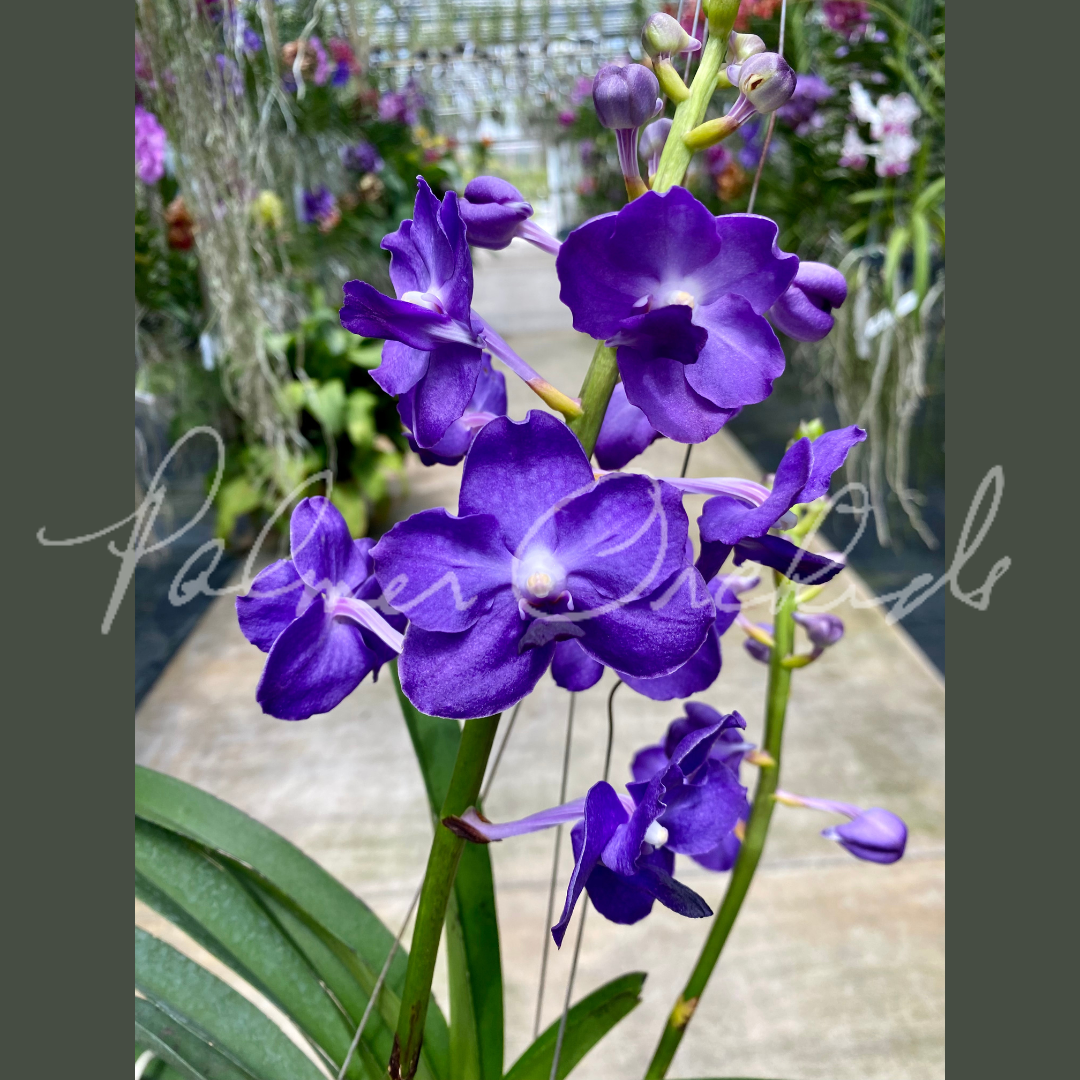 1E43E5D9-57D3-47C5-9DD5-F6D13E0EAC35