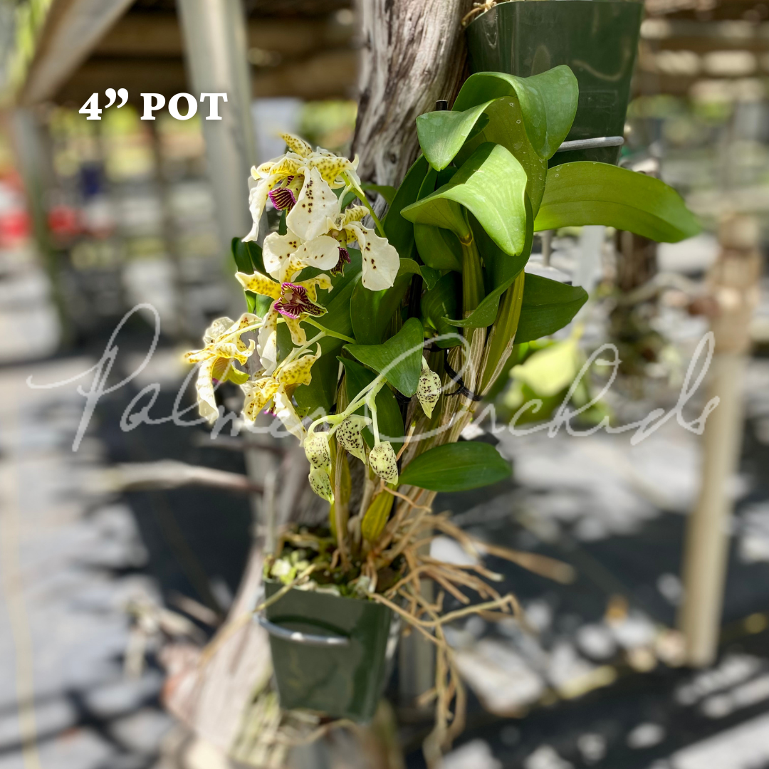 5363D71A-724D-4D5F-B064-BBBC584F1199