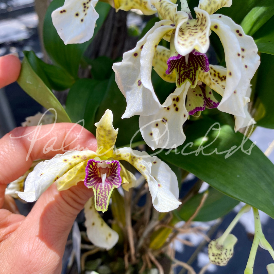 4F9169EA-F533-46D2-9127-D1E8A266410C