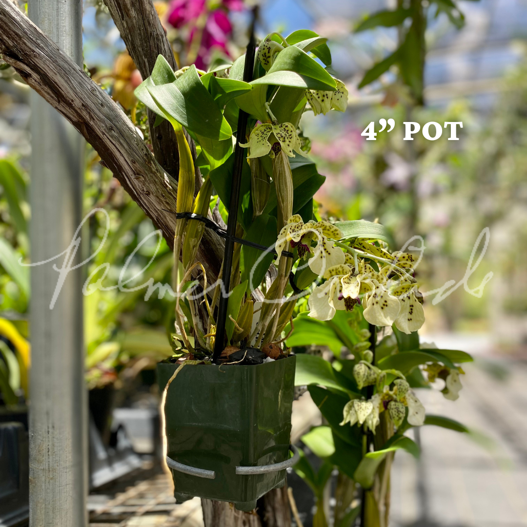 00E7A136-07A2-40B6-BED2-8B5003117430