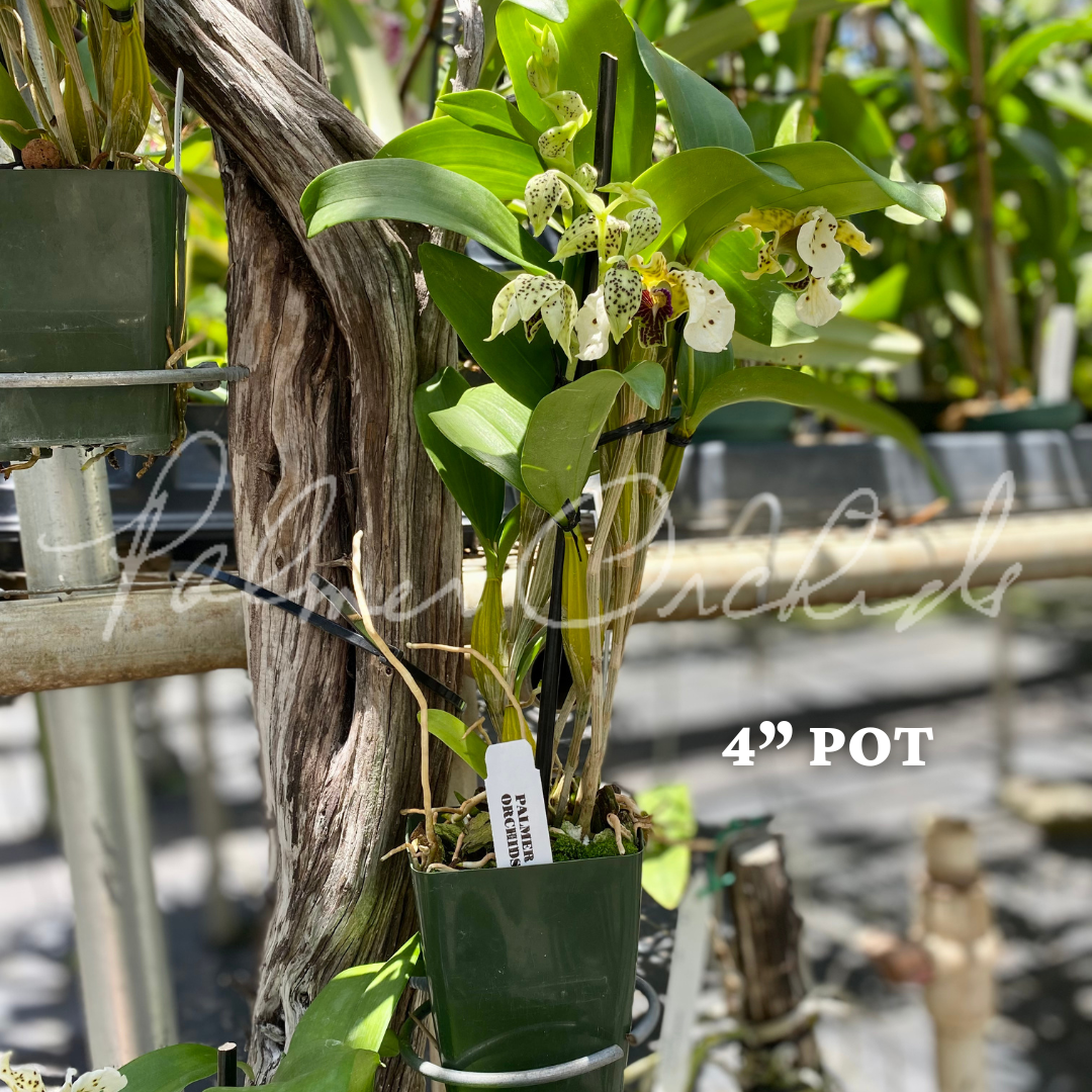 0292AE8B-7E4E-4F4C-9D25-211C40C6D391