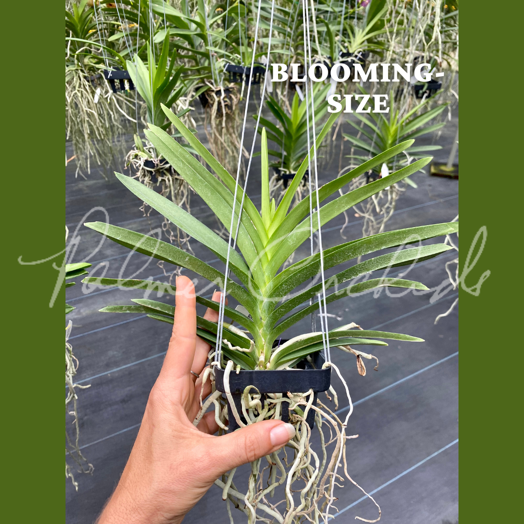 09844E8C-28B9-449F-80AC-80633BE2490E