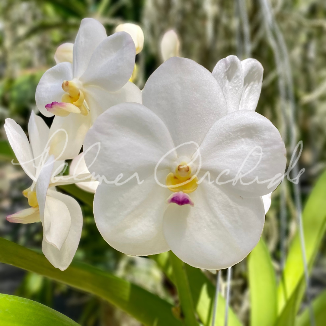 2235EA6F-7EA3-4A44-943F-06AAB11BD498