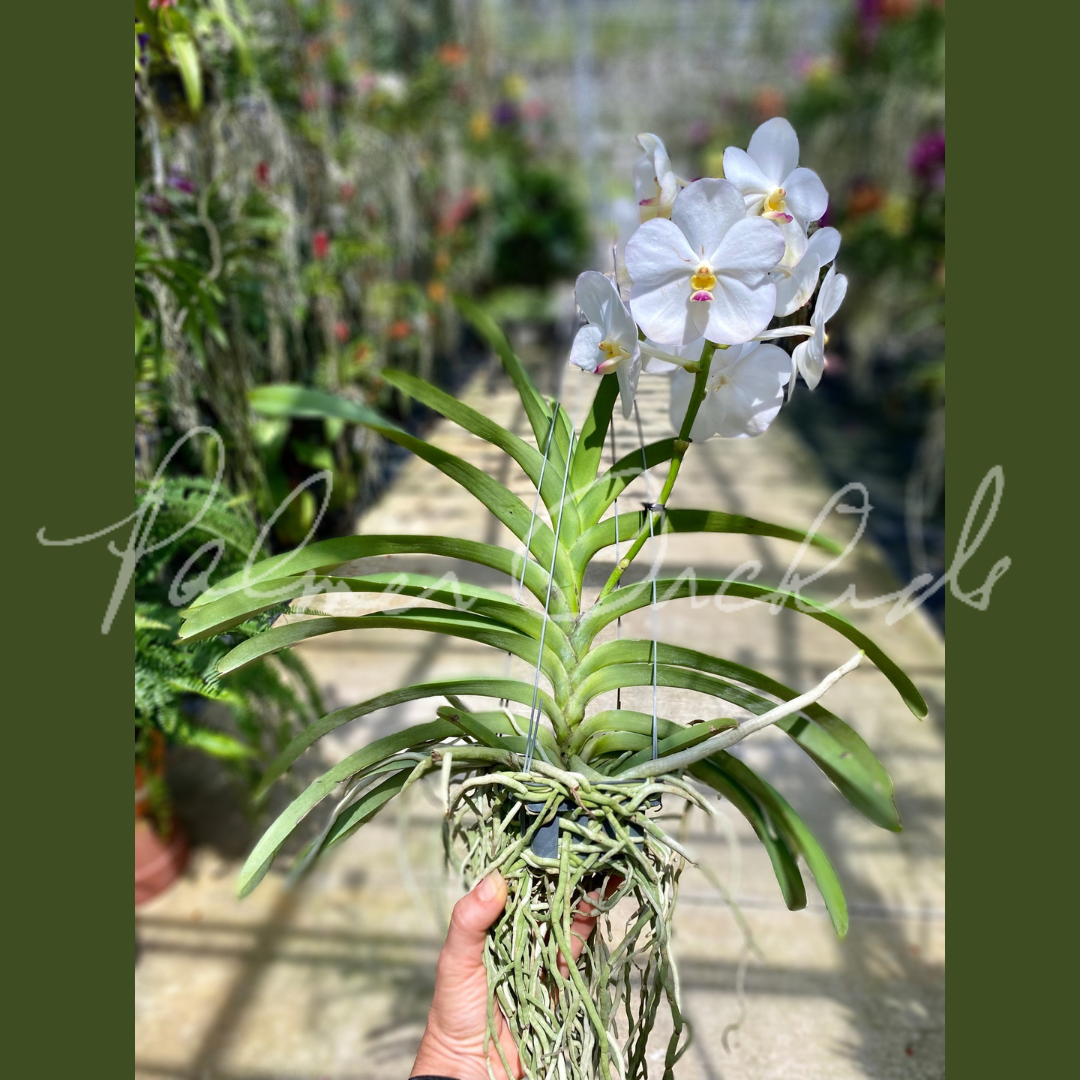 64EEE28E-2E7C-444B-AB18-8C7C25A73AF3