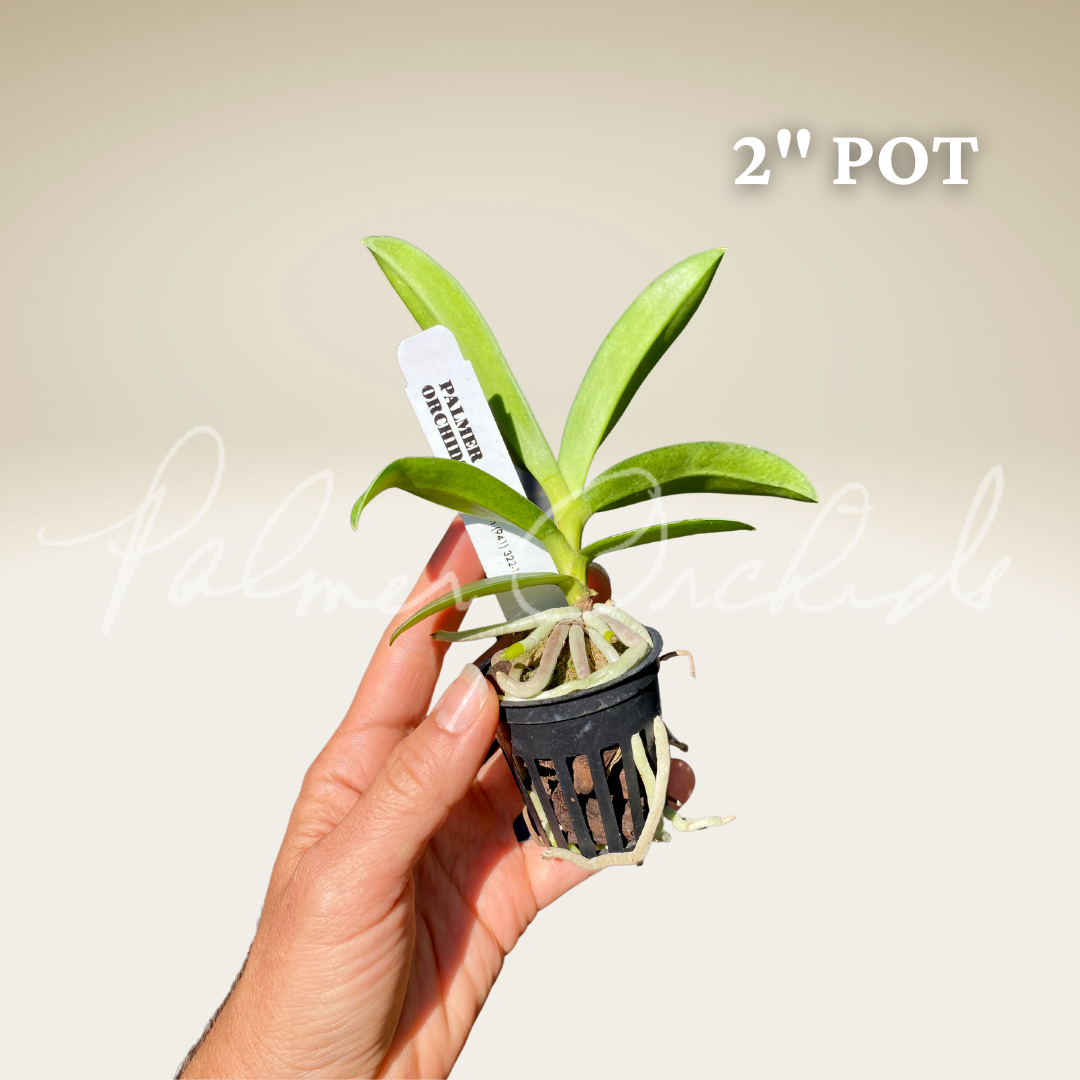 AA54105D-9C78-4A4B-91C8-D192290627BD