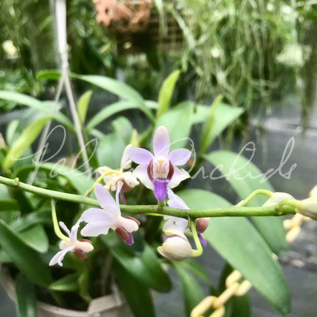 5E3E15D1-0032-4BD8-B4BA-5D017798B2F1