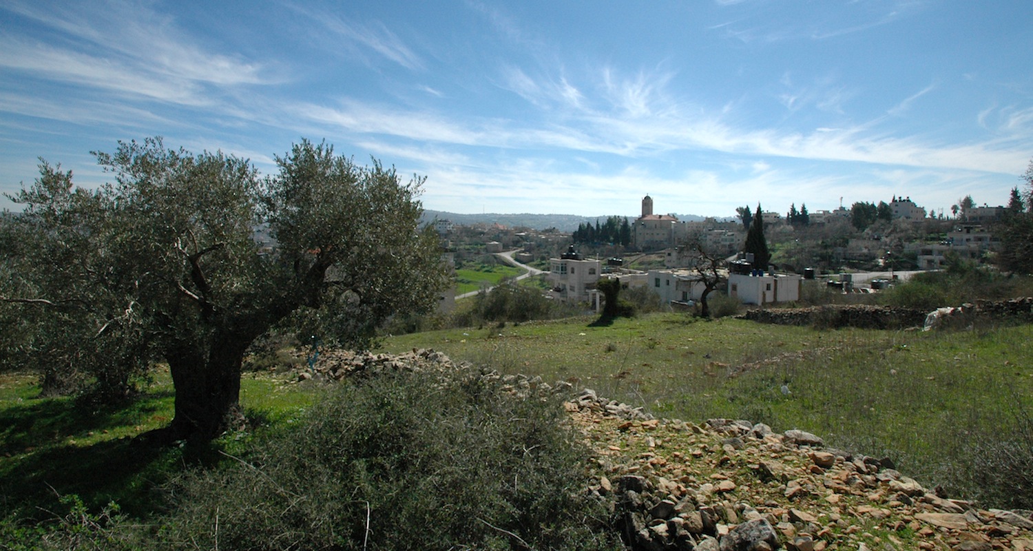 Iconic scenes from the Heartland always include terraced fields and olive trees. The scene was drawn from the outskirts of the village of Birzeit, Palestine.