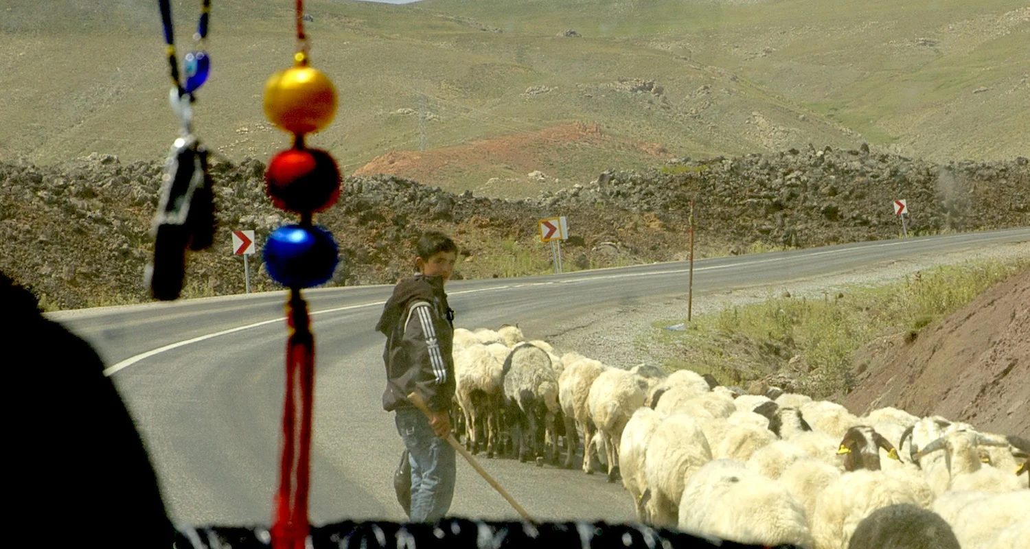 Passing a pastoral parade.