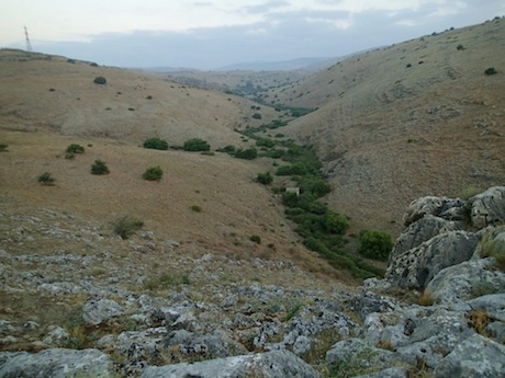 The Wadi Hamam begins gently in eastern Galilee near the village of Eilabun.