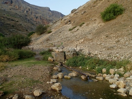 ‘Ein Hamam .