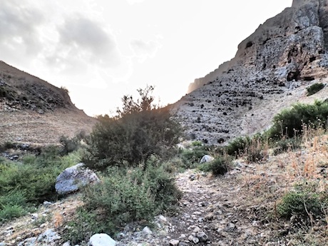 The bottom of the valley. Cliffs rise up on either side.