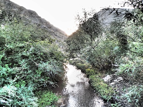 The stream of the Wadi Hamam.
