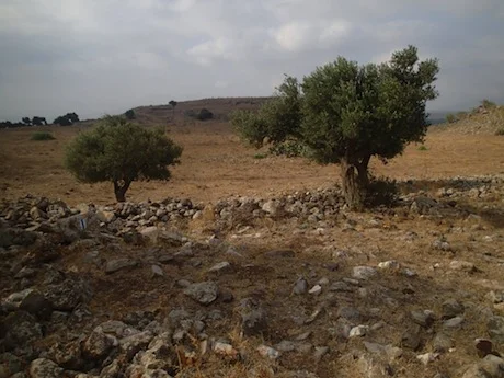View to the saddle between the Horns. Here the army of Guy made its last stand.