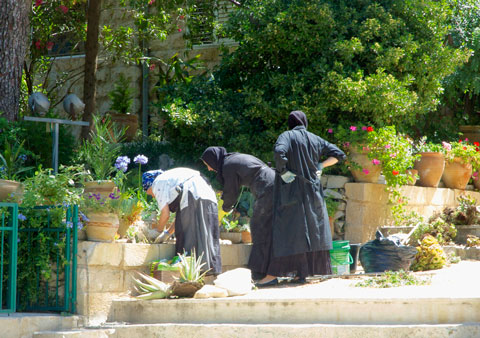 The sisters at work.