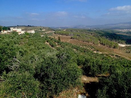 View back to Sepphoris from the trail .