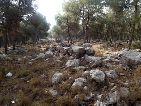 The remains of the aqueduct are visible running through the woods immediately east of the site.