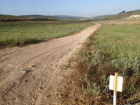 Approaching Sepphoris.