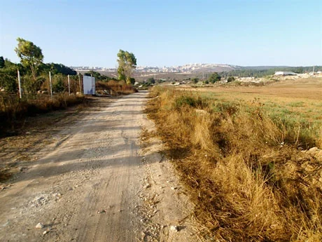 A view to the road less traveled. It runs south from my position in the upper reaches of the Suffuriyyah drainage basin. On the horizon, Nazareth spills over the ridge.