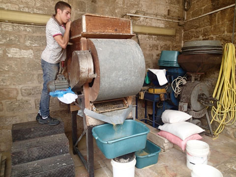 Grain processing in the family-owned el-Babour Mill.