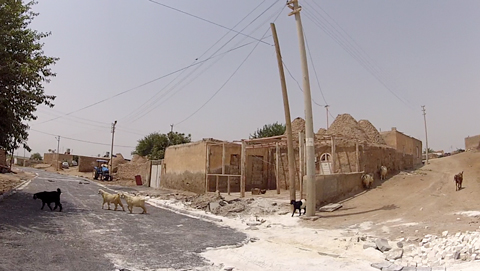 Goats in Haran. Note the traditional “beehive” shaped houses on the right.