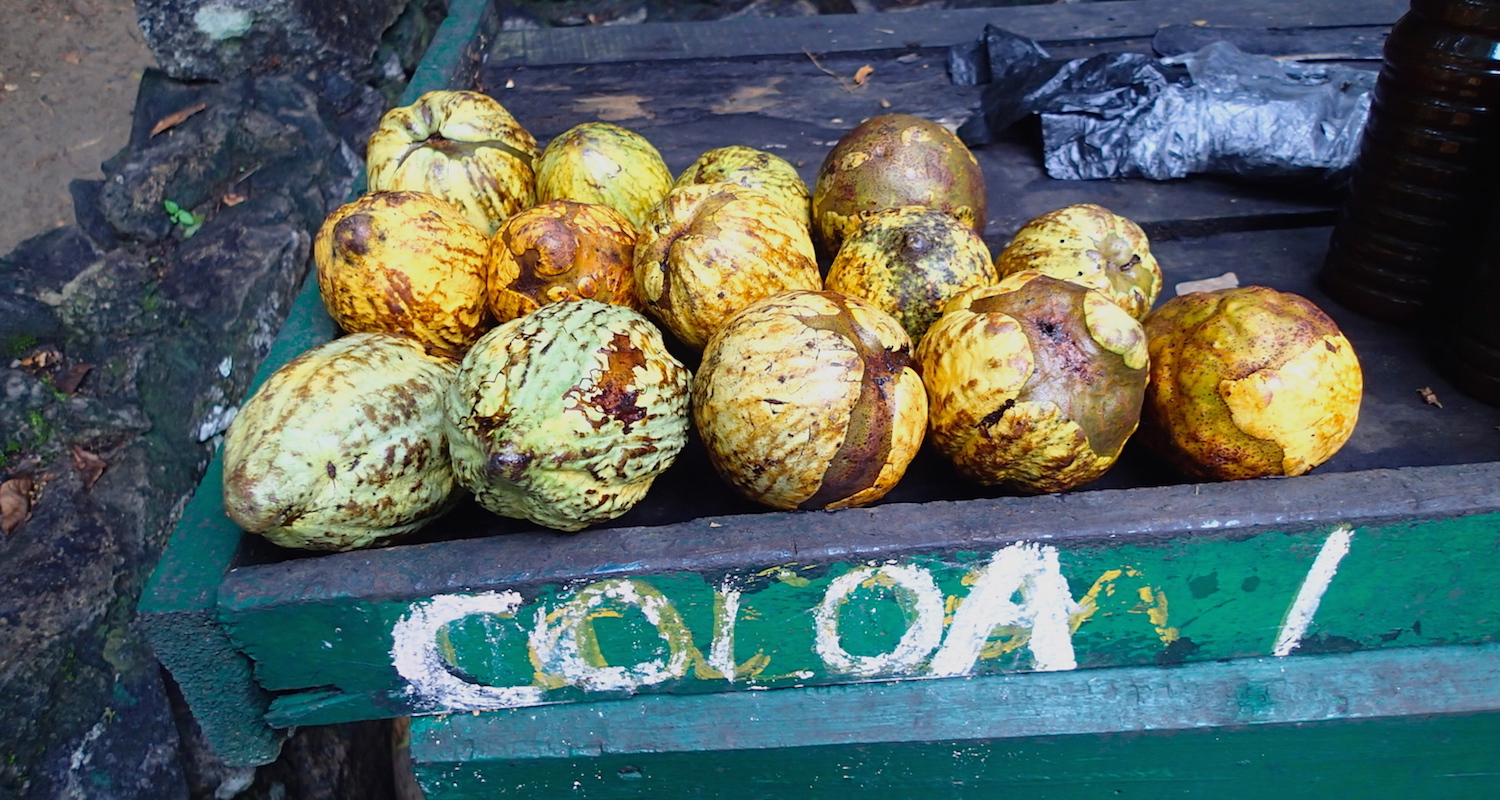 Cocoa pods for sale in West Africa.