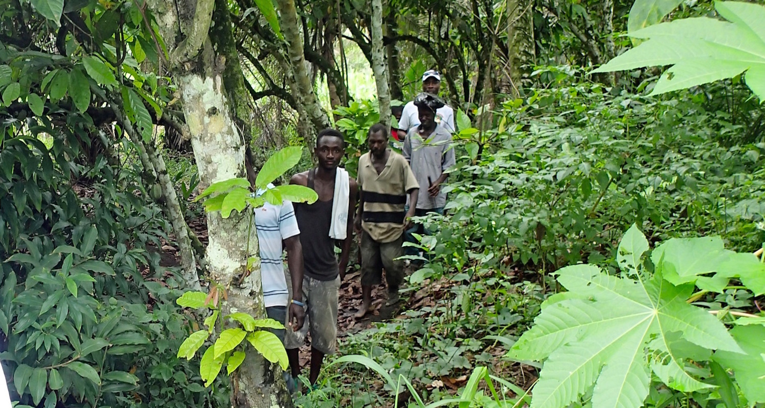 Our little cocoa expedition.